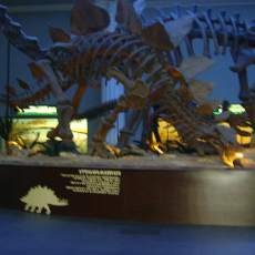 Jawa Timur Punya Museum Satwa