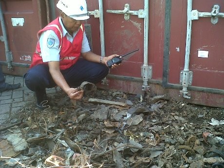 11 Kontainer dari Eropa dan Afrika Diduga Mengandung Limbah Beracun