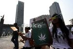 Wow...Kelompok Ini Demo Minta Ganja Dilegalkan