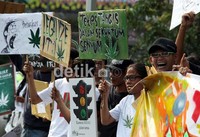 Dari segala konsekuensi negatif yang terjadi akibat pelarangan ganja, namun ganja dapat menyembuhkan berbagai penyakit. Seperti halnya ganja medis bermanfaat bagi pasien kanker yang sedang kemoterapi.