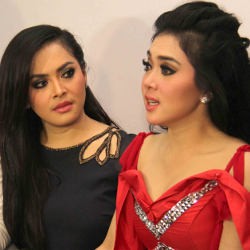 Adik Resmi Menikah, Syahrini Persembahkan Kado Spesial