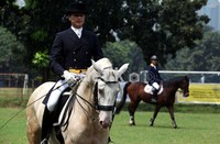 Pazia Grand prix 2012, merupakan kialifikasi World Cup Jumping Challenge yang diikuti oleh negara-negara asia tenggara dengan memperlombakan kelas Jumping Challenge dan Dressage Challenge.