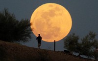 Supermoon terlihat di Papago Park di Phoenix, Arizona. Reuters/Darryl Webb.