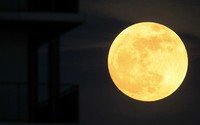 Supermoon terlihat di Amman. Bulan tampak lebih besar dan lebih terang hingga 16 persen dari rata-rata. Reuters/Ali Jarekji.