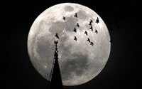 Supermoon terlihat di Bucharest. Fenomena ini terjadi karena orbit Bulan bukanlah lingkaran sempurna. Reuters/Radu Sigheti.