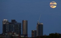 Supermoon terlihat di Toronto. Pada saat supermoon terjadi, jarak Bulan dengan Bumi sekitar 357 km. Sehingga pada saat fenomena terjadi, jarak bulan lebih dekat 27 ribu km dari jarak rata-ratanya. Reuters/Mark Blinch.
