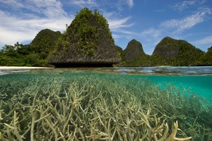 Masyarakat Adat Papua Minta Semua Orang Sayangi Raja Ampat