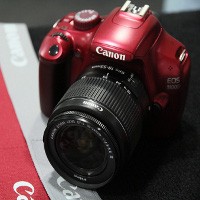 Kamera DSLR yang Cocok Bagi Pemula
