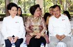 Hari Palang Merah, JK Ziarah ke Makam Bung Hatta