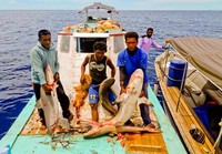 Tim patroli berhasil menangkap nelayan ilegal yang melakukan penangkapan ikan di Pulau Sayang dan Pulau Piai, Kabupaten Raja Ampat. (dok Conservation International).