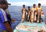 Ilegal Fishing Ancam Kecantikan Raja Ampat
