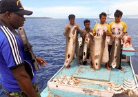 Tim patroli berhasil menangkap nelayan ilegal di Pulau Sayang dan Pulau Piai, Kabupaten Raja Ampat. Sayangnya, mereka melarikan diri dan kini masih dalam pengejaran. (dok Conservation International).