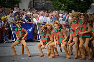 Miaw! Ada Festival Kucing di Belgia