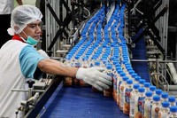 Salah satu suasana pengalengan Nu Milm Tea yang siap dipasarkan. Minuman ini menggunakan teknologi aseptic cold filling untuk memastikan citarasa sesuai standar produksi.