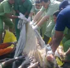 Dua Makam Imigran Gelap Iran Korban Kapal Tenggelam Dibongkar