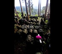 Sedikitnya 600 orang dari berbagai institusi langsung menyisir Gunung Salak.