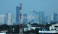Pertumbuhan ini didukung oleh sektor pertanian, peternakan, kehutanan, dan perikanan, sektor keuangan, real estat, jasa perusahaan, sektor pengangkutan, dan komunikasi.