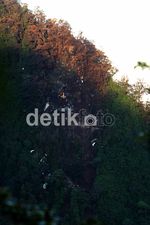 Foto-foto Pesawat Sukhoi yang Hancur Lebur