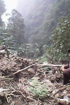Warga Dengar Ledakan Keras dari Gunung, Tapi Terhalang Kabut Tebal