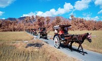 Para peserta touring menikmati kampung kesenian dengan meniki andong. (dok Porsche).