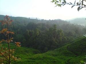 Jalur Pendakian Gunung Salak Ditutup Sementara