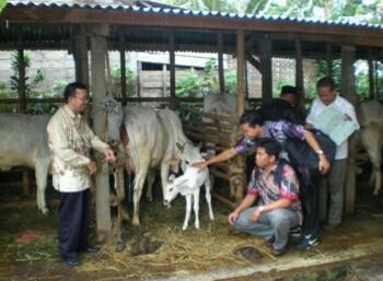 Biogas Limbah Pertanian Opsi Potensial Atasi Langka BBM