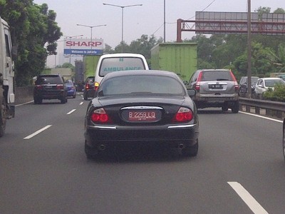 Jaguar Berpelat Merah