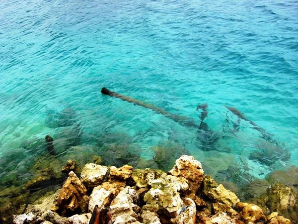 Pasir Putih Pulau Condong Juaranya Wisata Di Lampung Selatan