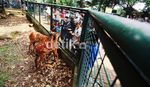 Libur Panjang, Warga Serbu Ragunan