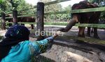 Libur Panjang, Warga Serbu Ragunan