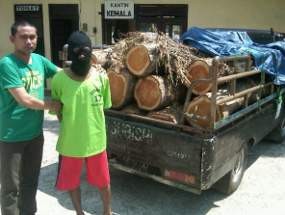 Pembalak Hutan Digerebek, 6 Pelaku Berhasil Kabur