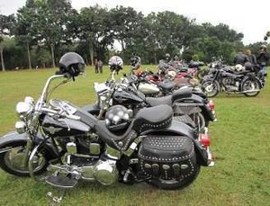 Harley Milik Santo Akhirnya Ditemukan