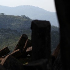 Mendaki Puncak Gunung Padang