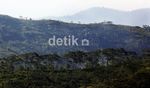 Keindahan Panorama Gunung Padang