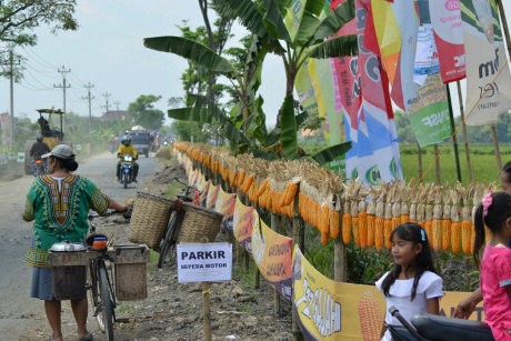 MURI Catat Rekor Rangkaian Jagung Terpanjang di Grobogan