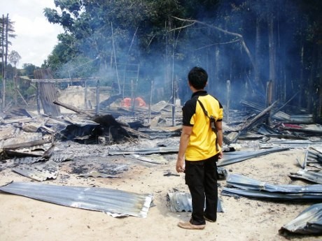 Perambah Hutan Bakar Kamp dan Keroyok Petugas Hutan Harapan Jambi