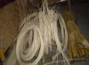 3 Peraturan Gita Wirjawan Resahkan Pengusaha Rotan 