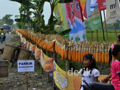 Rangkain Jagung Terpanjang Ada di Purwodadi