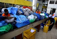 Beberapa petugas menata paket kiriman yang akan dikirim.