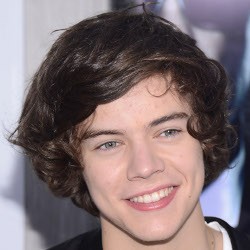 Harry One Direction Jomblo Lagi