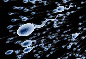 Jumlah Sperma Pria di Dunia Makin Sedikit dari Tahun ke Tahun