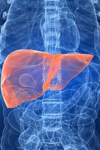 7 Makanan yang Membersihkan Hati Secara Alami