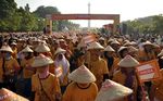 Srikandi Hanura Jalan Sehat