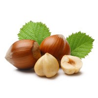Kemiri Bisa Jadi Bahan Susu Formula Bayi