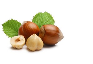 Kemiri Bisa Jadi Bahan Susu Formula Bayi