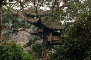 Wushhh! Meluncur dari Pohon ke Pohon di Laos