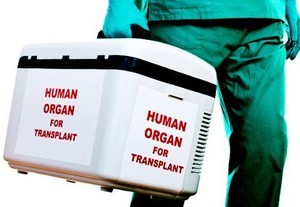 WHO: Setiap 1 Jam Ada 1 Organ Manusia Dijual di Pasar Gelap