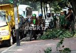 Tidak Sabar Macet, Pemotor Terobos Pedestrian