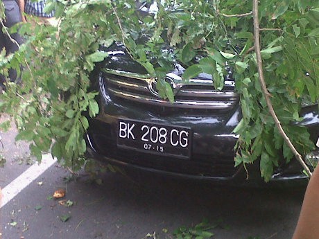 Pohon Tumbang Timpa Mobil dan Motor di Medan, 1 Orang Terluka