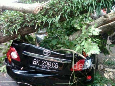Pohon Tumbang Timpa Tiga Mobil